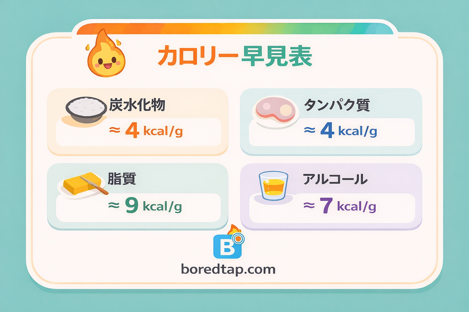 カロリーの基本図解: 炭水化物とたんぱく質は1gあたり約4kcal、脂質は1gあたり約9kcal、アルコールは1gあたり約7kcal。